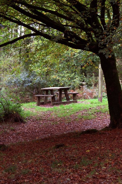 At least there is somewhere to sit here.