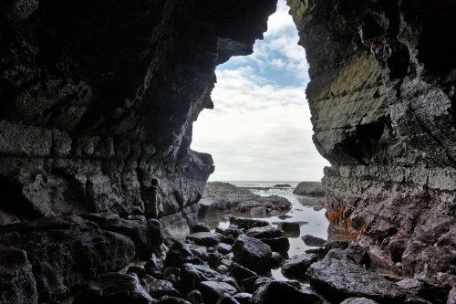 Flamborough 19-10-09_009