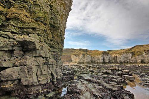 Flamborough 19-10-09_012