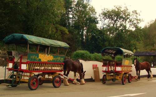 Local transport in Polperro