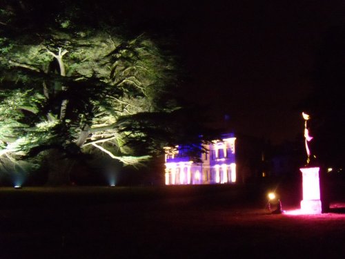 Enchanted Gardens - Cedar tree and hall