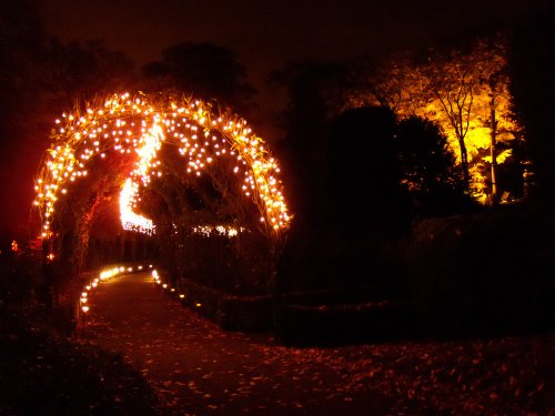Enchanted Gardens - The Fairy Dell