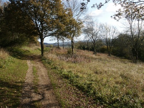 Newlands Corner, Surrey