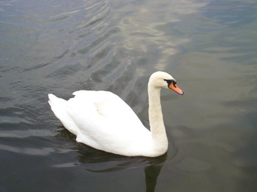 Hampton Court Palace