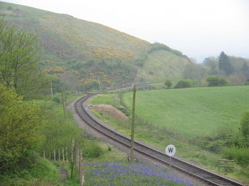 Tracks