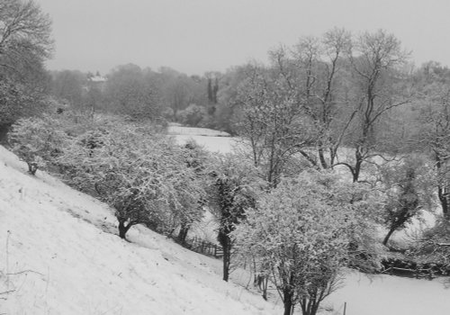 Went Valley in Winter 2008
