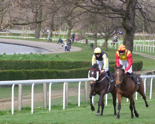 Pontefract Racecourse 2009