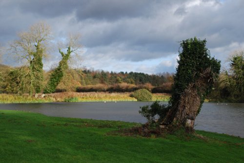 Baconsthorpe Castle Meare