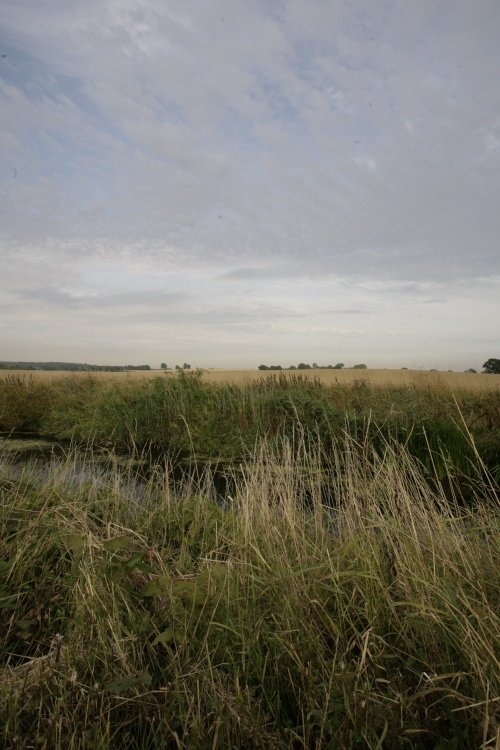Fields and Marshes