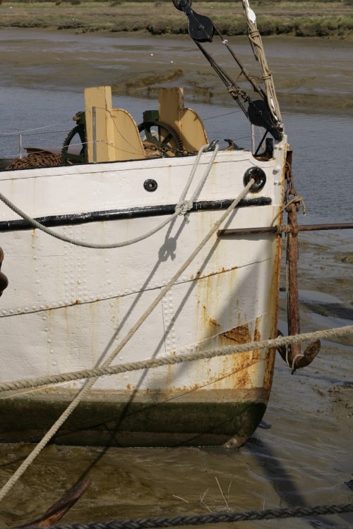 On the River Blackwater