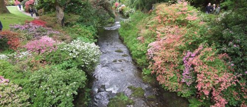 River in Bodnant