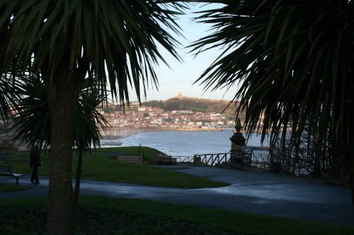 A palm picture frame