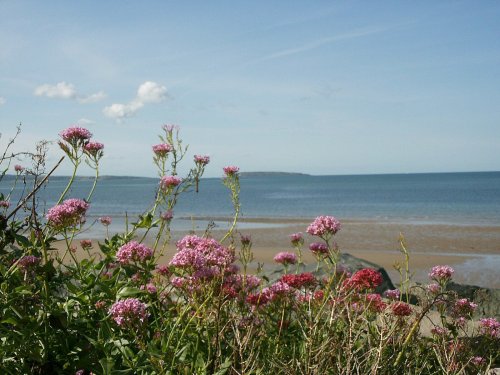 Looking at Puffin Island in on the horizon