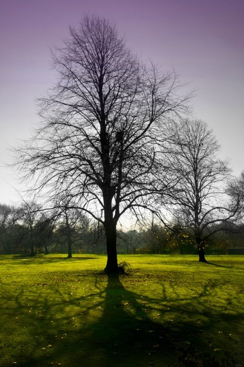 Clarkes Gardens in Autumn