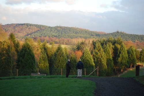 View from Bodenham Arboretum in December