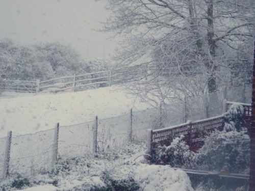 From my bedroom window