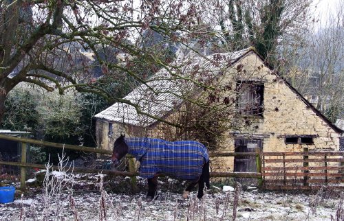 Cosy horse