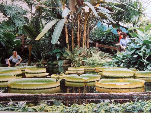 Stapeley Water Gardens