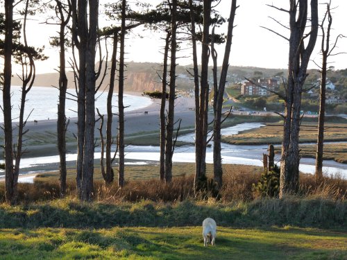 View of the Otter Estuary