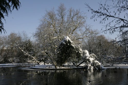 A very white Park 2009