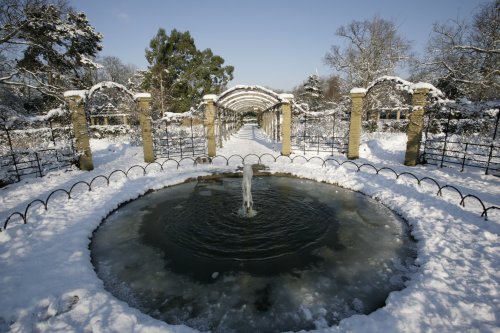 Winter wonderland 2009