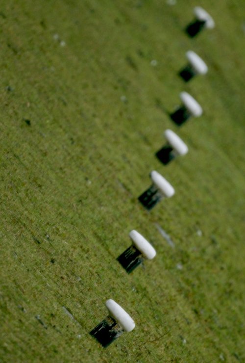 Moorings at Bumble Hole, Netherton
