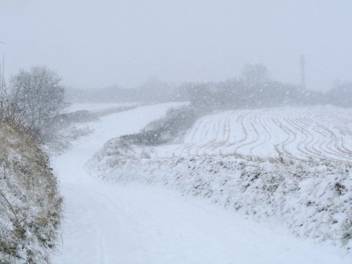 Annual snow day in Exeter 2