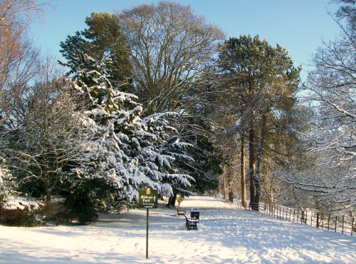 Bishops Park,Bishop Auckland,Durham 6th jan 2010