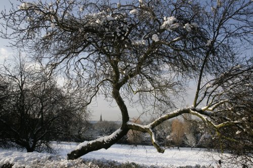 Park view and London