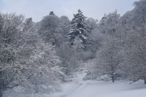 A snowy view over Killerton