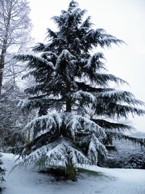 Eastcote House gardens, Eastcote Village