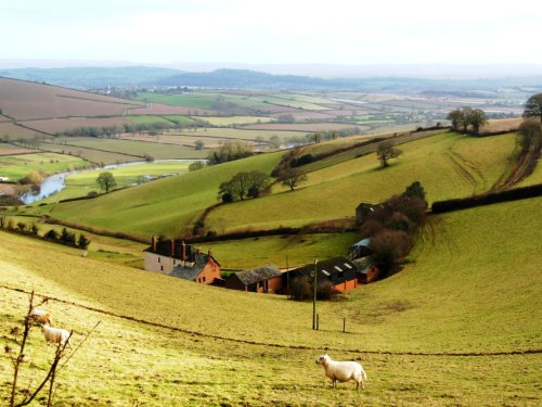 Farm Exe Valley
