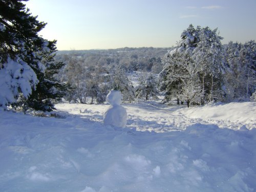 Snowman at Frensham Common