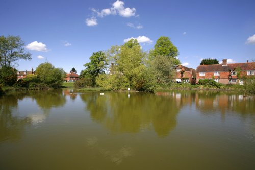 Village pond