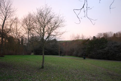 As the sun goes down on the river bank