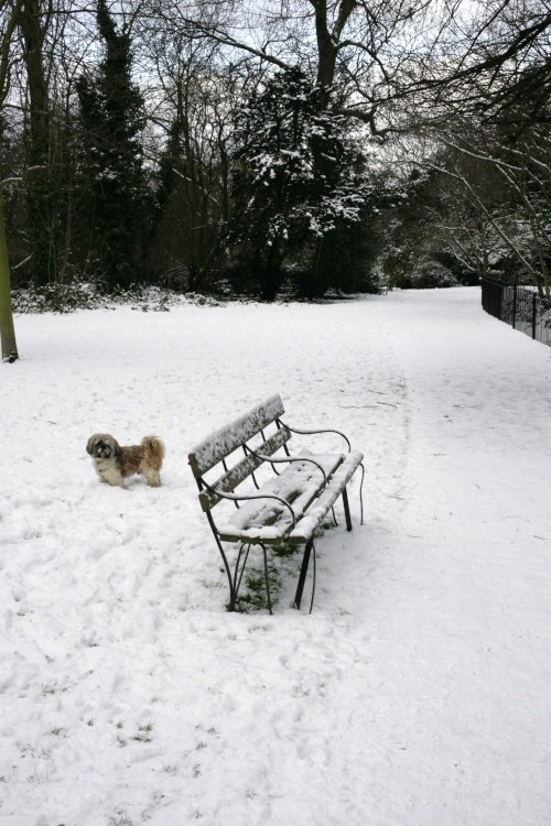 Bbbrr, hurry up dad!!!