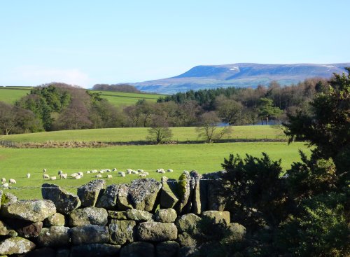Pendle Hill