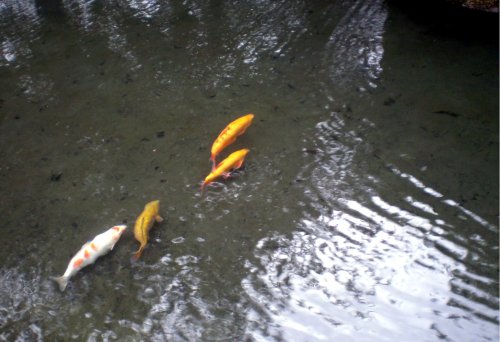 A view from Matlock Bath