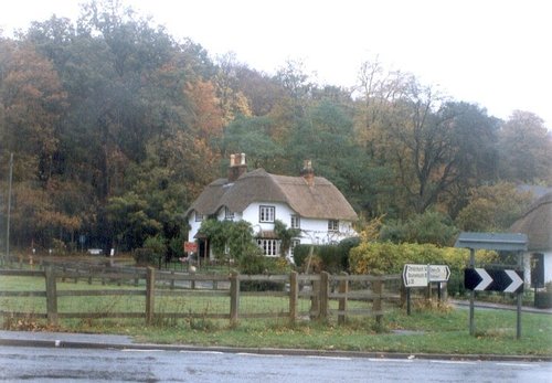 Ringwood, Hampshire 1991