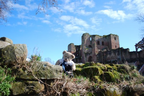 Monty at the Castle!