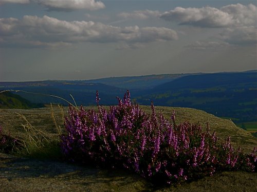View from Calver Rocks