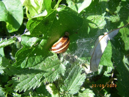 Titchwell Marsh Nature Reserve