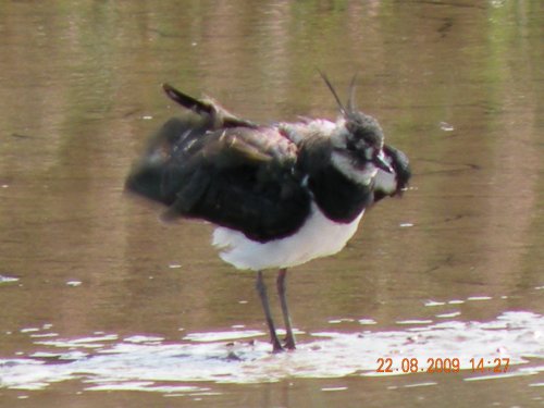 Titchwell Marsh Nature Reserve
