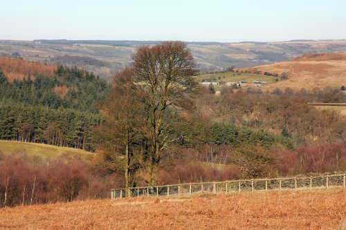 North Yorkshire Moors 1