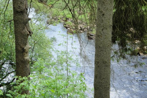 Along the footpath to High Force Waterfall
