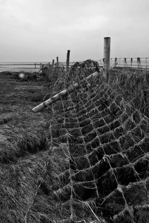 Cumbrian Coastal Way