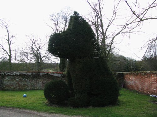 Topiary in the College Grounds