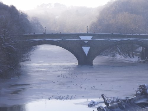 River scene in Durham