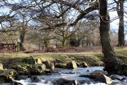 Bradgate Park