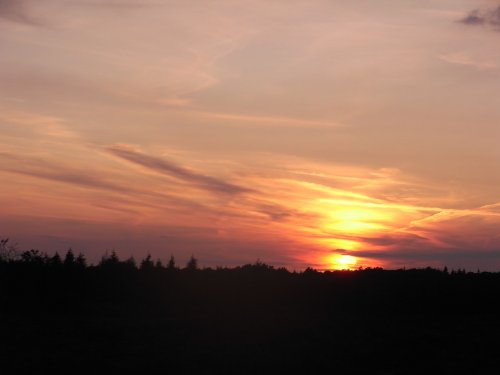 Sunset over the forest
